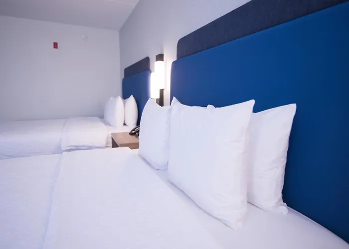 Hotel Hampton Chicago-carol Stream 3*