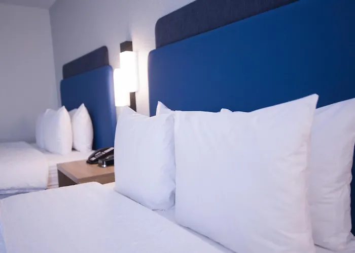 Hotel Hampton Chicago-carol Stream Carol Stream